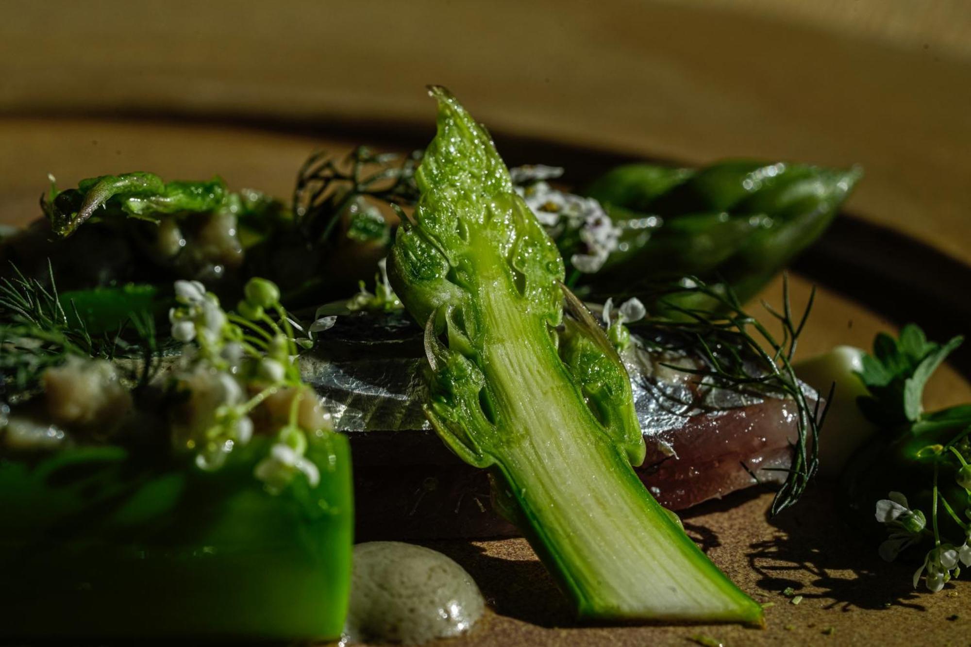Thalazur Bandol Ile Rousse - Hotel & Spa Zewnętrze zdjęcie